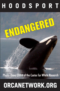 Support the Orca Network